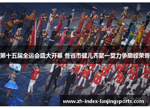 第十五届全运会盛大开幕 各省市健儿齐聚一堂力争巅峰荣誉